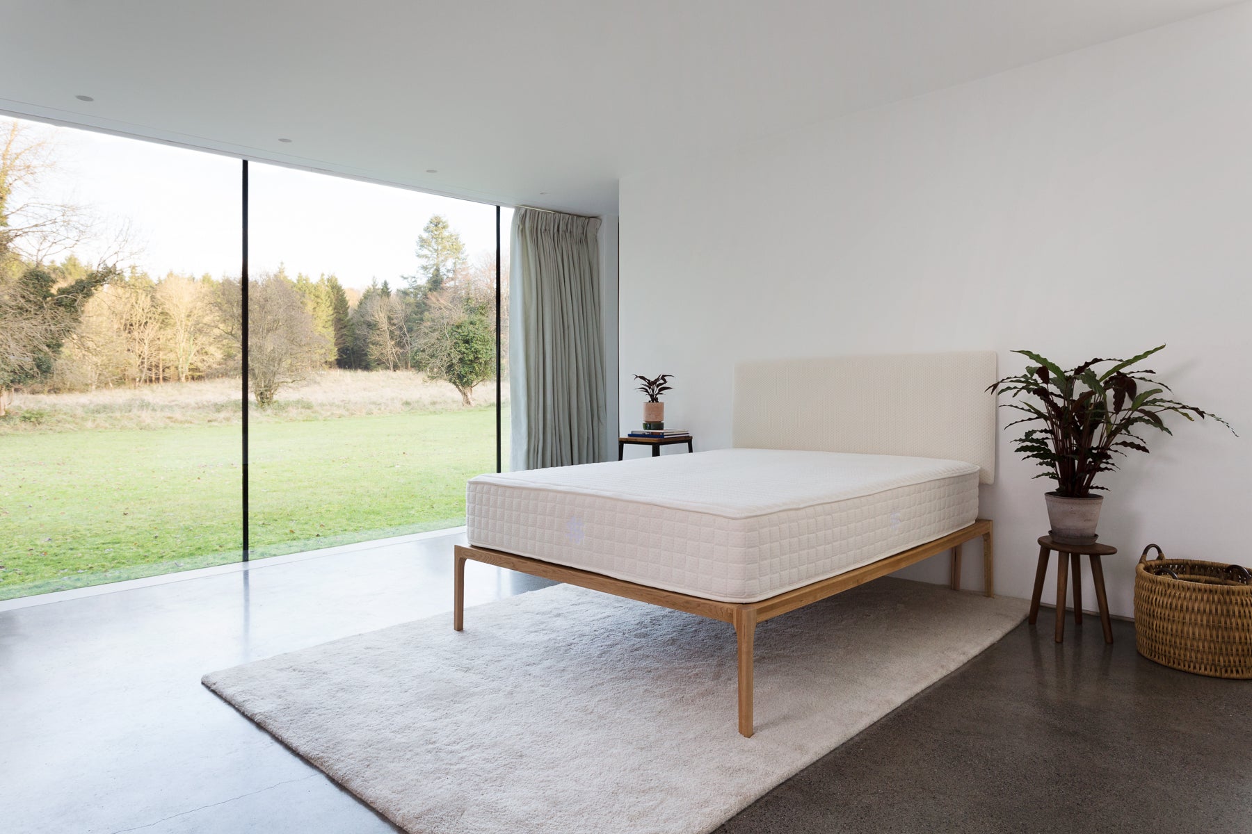 Natural Sleep — Organic